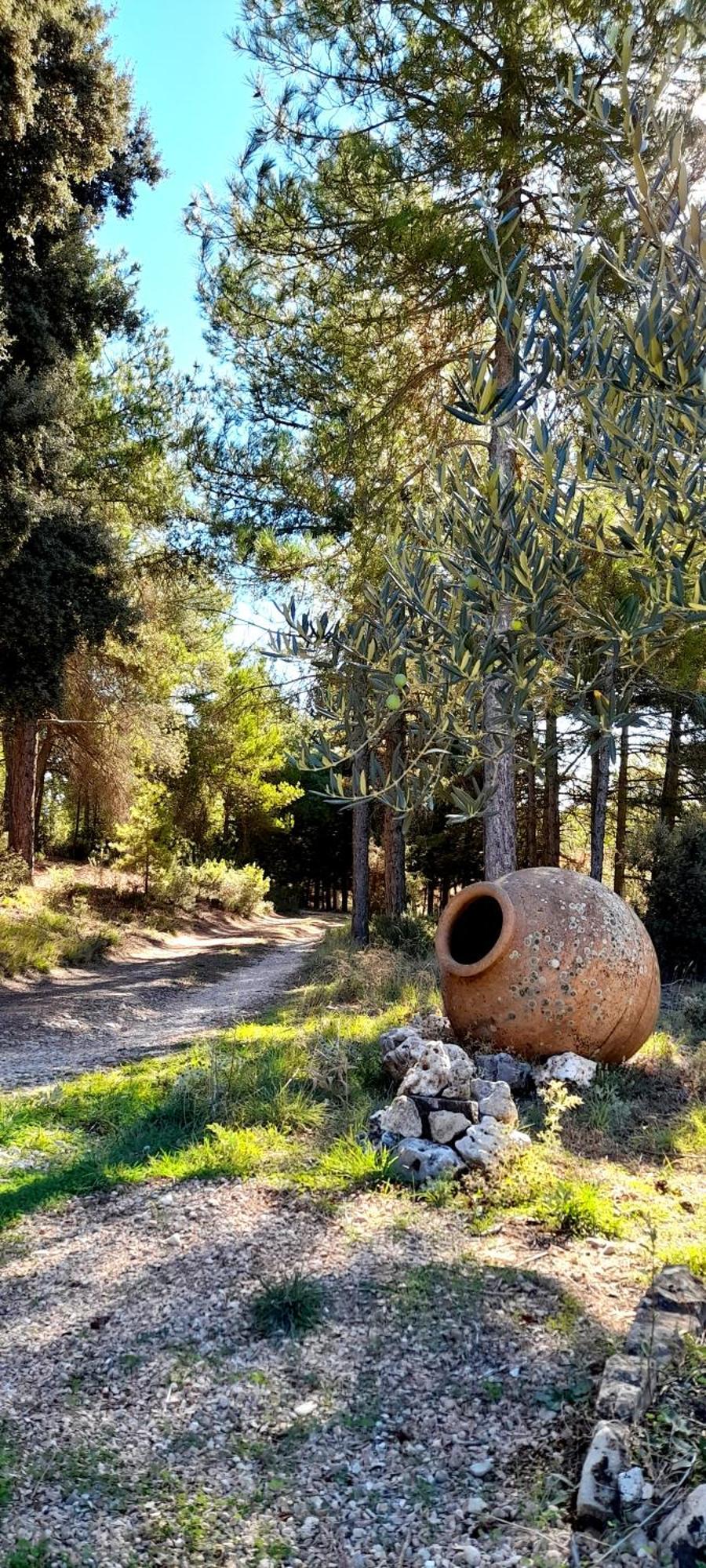 Villa Sanz Cuenca  Exteriér fotografie